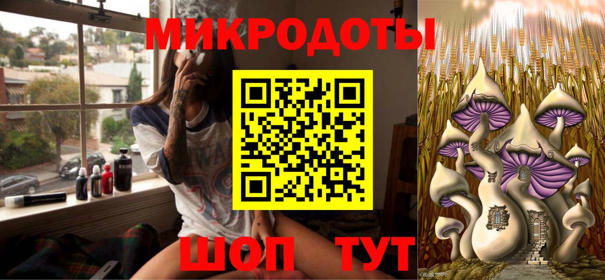 Тольятти  Галлюциногенные грибы Psilocybine cubensis  Вход с VPN 