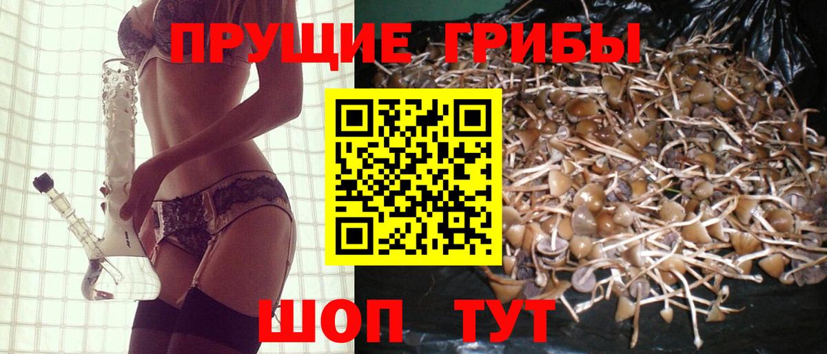 Псилоцибиновые грибы ЛСД Тольятти